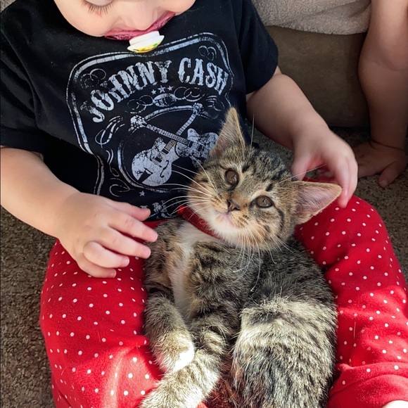 Meet your Posher, Kaytee - Picture 6 of 10